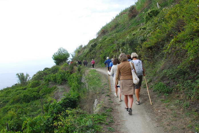 Ischia: Wanderung Kastanienwälder, Steinhöhlen und Schneegruben
