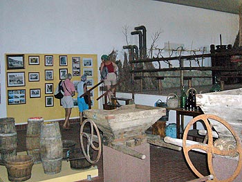 Ischia - Panza: Casa d'Ambra - Weinbaumuseum