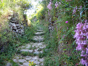 Ischia: alter Verbindungsweg zweier Gemeinden 