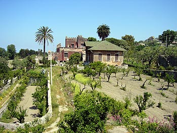Ischia - Panza: Villa Piromallo