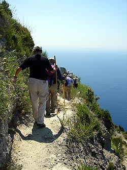 Ischia: Weinbergwanderung