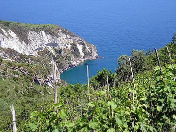 Ischia: Panorama