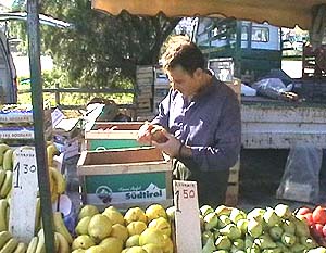 Iraklion: Südtiroler Äpfel auf dem Markt