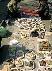 Beijing: Markt